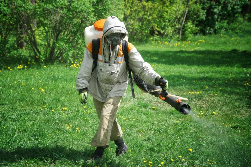 Armadillo Extermination